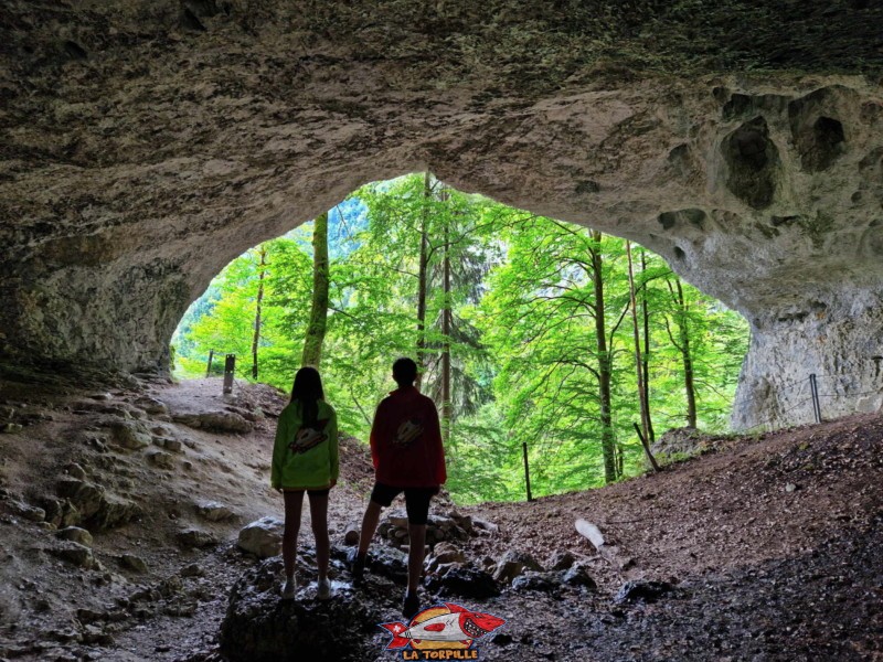 La vue sur la forêt depuis l'intérieur de la grotte.