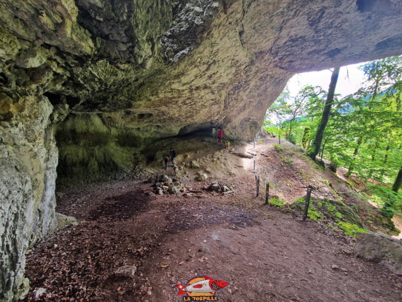 le côté nord de la grande grotte aux fées de Vallorbe