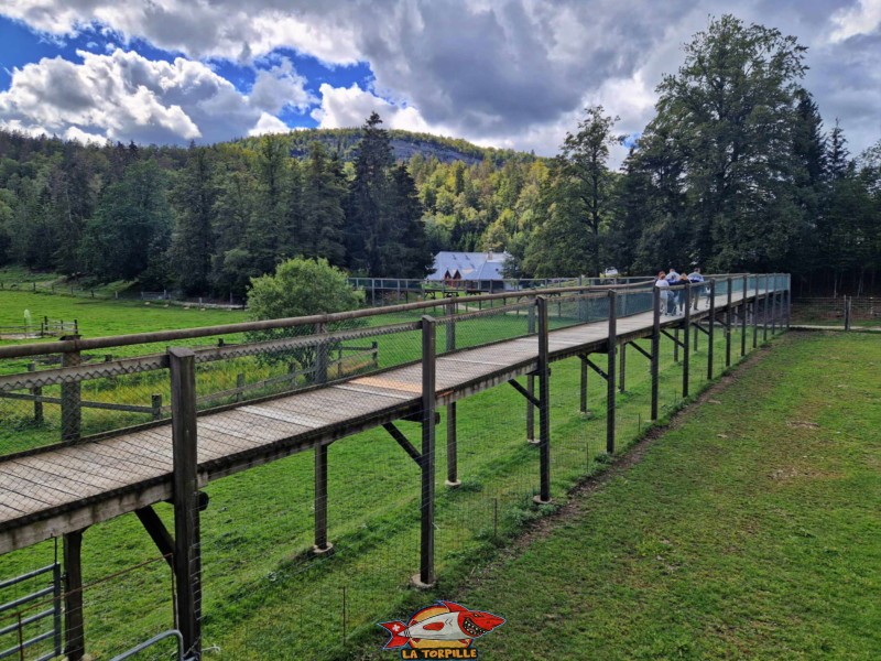 Passerelle nord, juraparc, mont d'orzieres, vallorbe