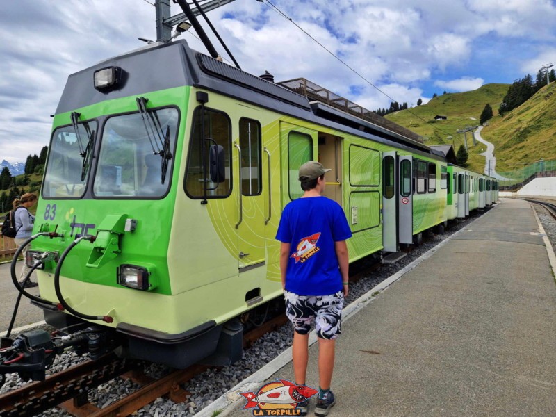 Les trains jaunes et verts de ligne Bex - Villars - Ollon. Ils sont gérés par les TPC. (Transports Publics du Chablais).
