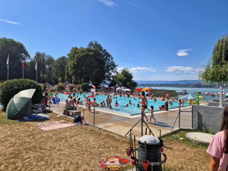 Piscine enfants, plage et piscine extérieure de Morat, Murten