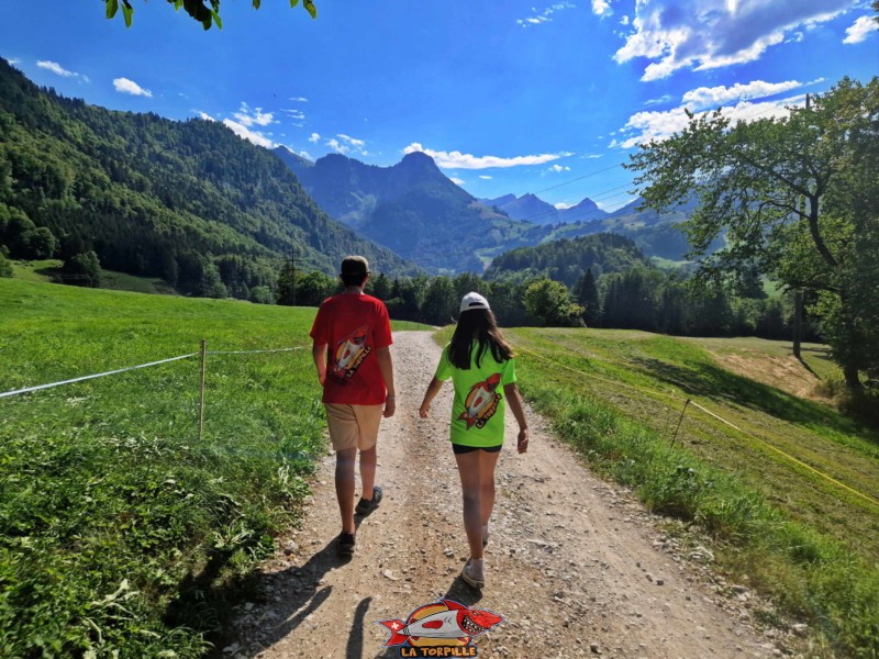 La plus grande partie du chemin rive droite se fait dans des pâturages et champs sur la route en gravier.