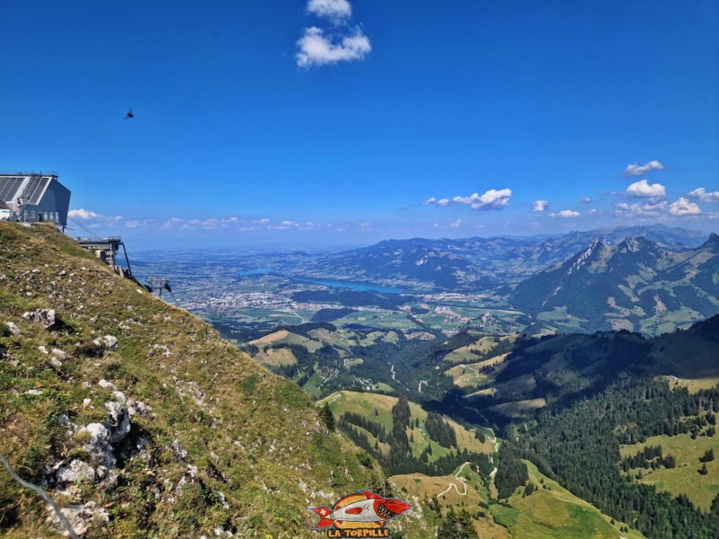 Vue nord-est. Crête sud, Moléson