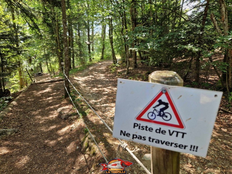 Le chemin dans la forêt pour relier les différents postes peut traverser la piste de de VTT.