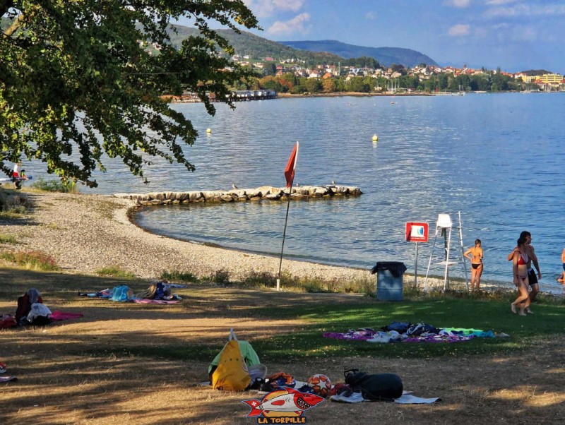 La plage en gravier au bord du lac de Neuchâtel longue d'environ 130 mètres. Piscine nid-du-crô, Neuchâtel