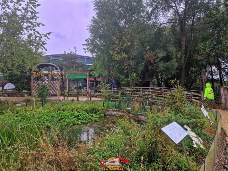L'étang des cistudes à côté du zoo.