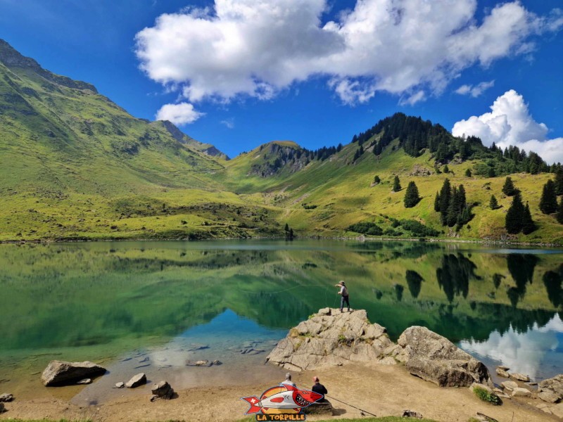 côté est, lac Lioson, les Mosses