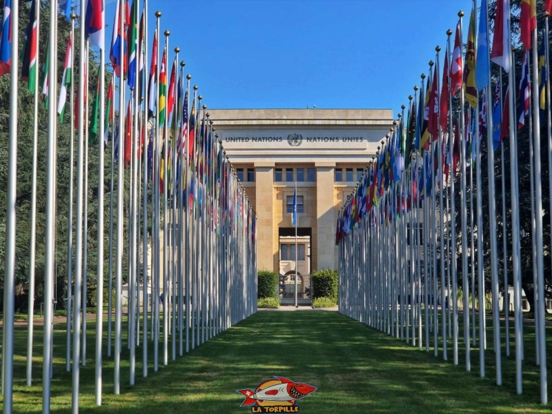 Les fameux drapeaux des Nations Unies à côté de la place des Nations.
