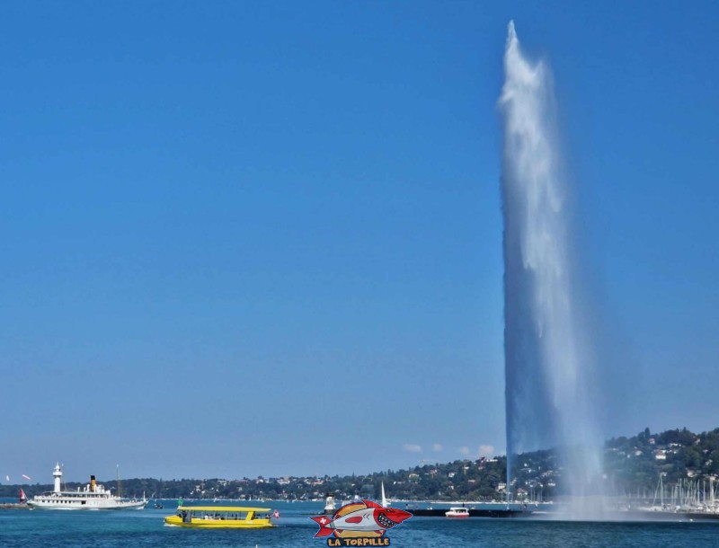 Un bateau des Mouettes Genevoises avec le Jet d'eau de Genève.