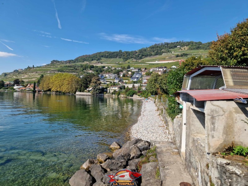 rivage ouest, Bains de la Crottaz, plage de la grotte, corseaux, Riviera vaudoise