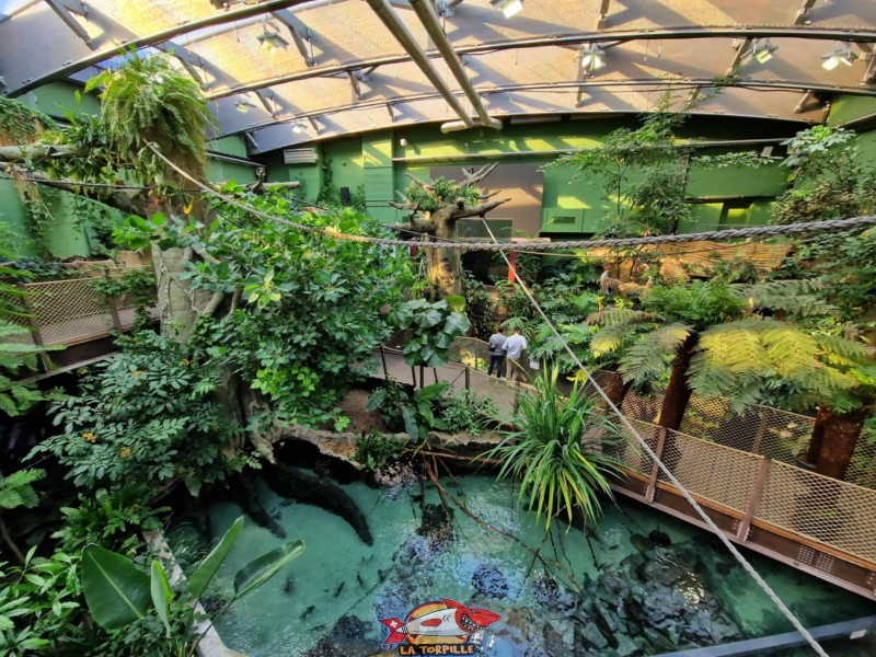 shpère tropicale, zone tropcale, amérique du sud, aquatis, lausanne