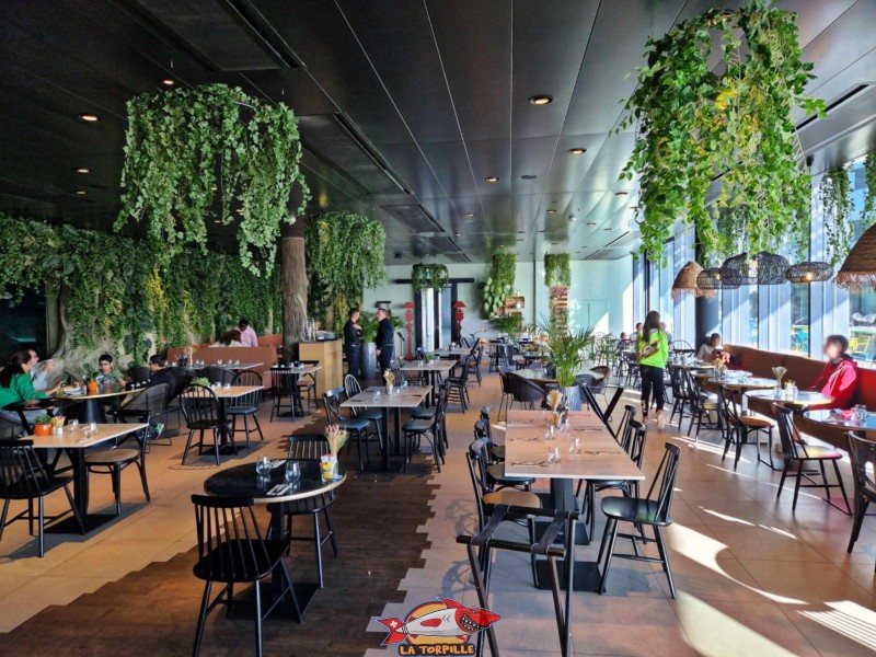 Le restaurant "The Garden" se trouve au rez du Vivarium.