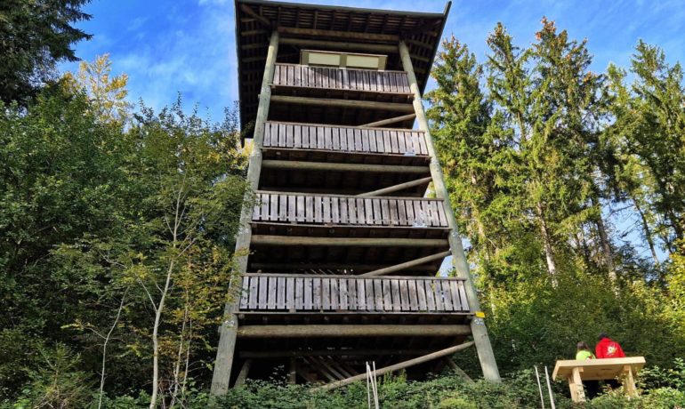 🗼 Donjon du Bois des Brigands – Thierrens