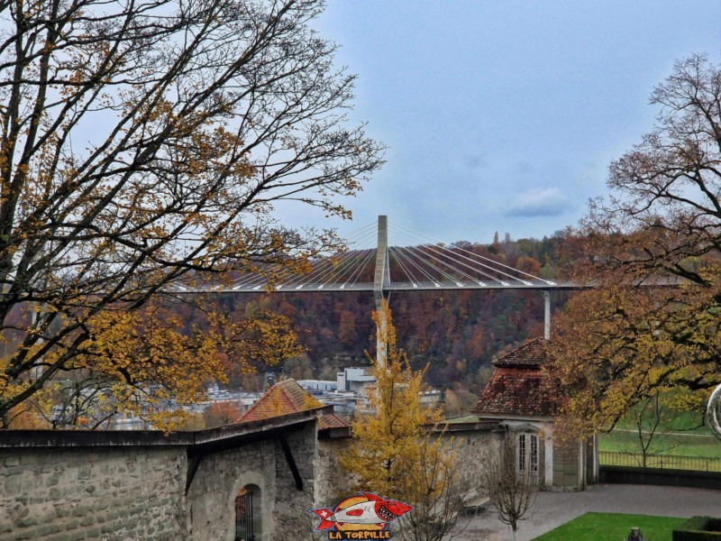 La vue sur le fameux pont de la Poya qui relie le quartier du Schönberg à celui du Bourg.