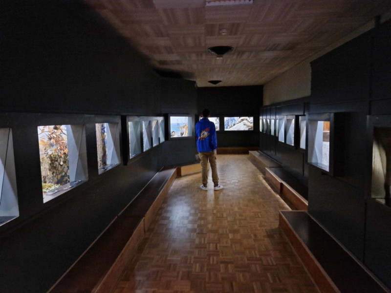 Faune régionale. Musée d'histoire naturelle de Fribourg, MHNF.