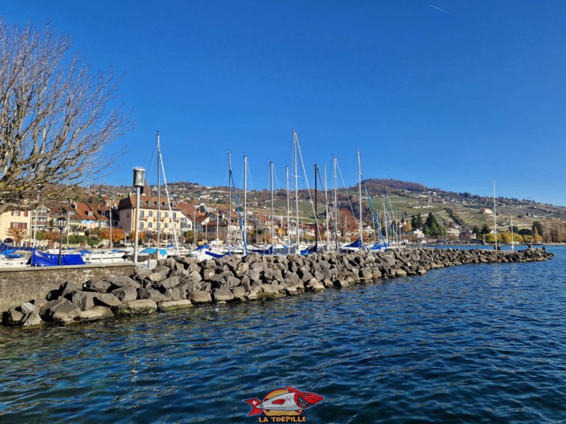 La vue, direction nord-est, vers le port de Lutry et le vignoble du Lavaux. Débarcadère de Lutry