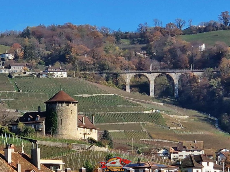 La tour Bertholod avec le viaduc CFF de la ligne Lausanne - Fribourg. Débarcadère de Lutry