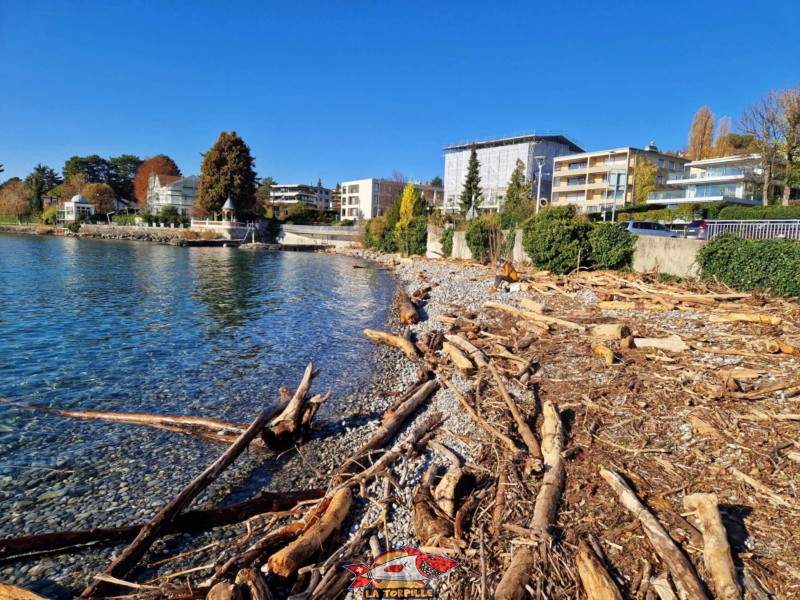 La vue depuis le port du Vieux-Stand, côté est. Plage du port du Vieux-Stand, Lutry.