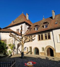 🏰 Château de Lutry