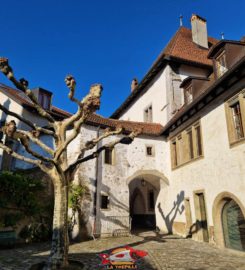 🏰 Château de Lutry