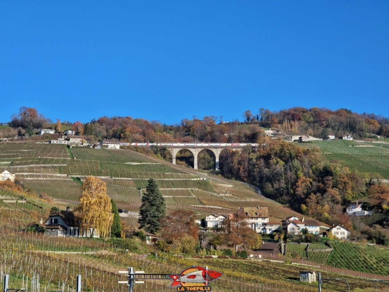 Le vignoble du Lavaux sur les hauteurs de Lutry avec le viaduc CFF de la ligne Lausanne- Fribourg. Tour Bertholod, Lutry.
