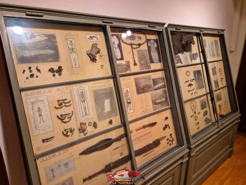 Des objets de la période celtique. Expositions permanentes, musée historique de Vevey.