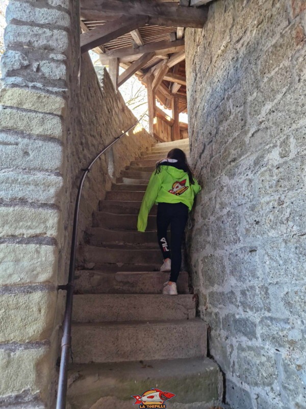 L'escalier qui monte le long du donjon. Il n'est malheureusement pas possible de monter à l'intérieur de cet édifice !