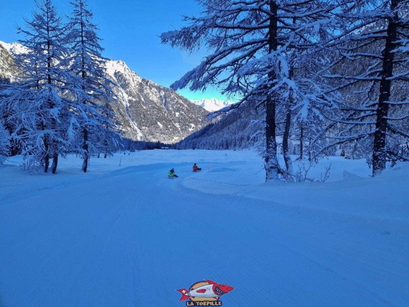 Piste de luge d'hiver de Champex-lac, Val d'Arpette, 