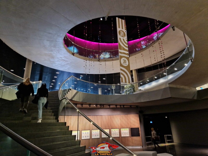 étage -1, l'esprit olympique, musée olympique de lausanne, suisse, L'escalier permettant de retourner au rez.