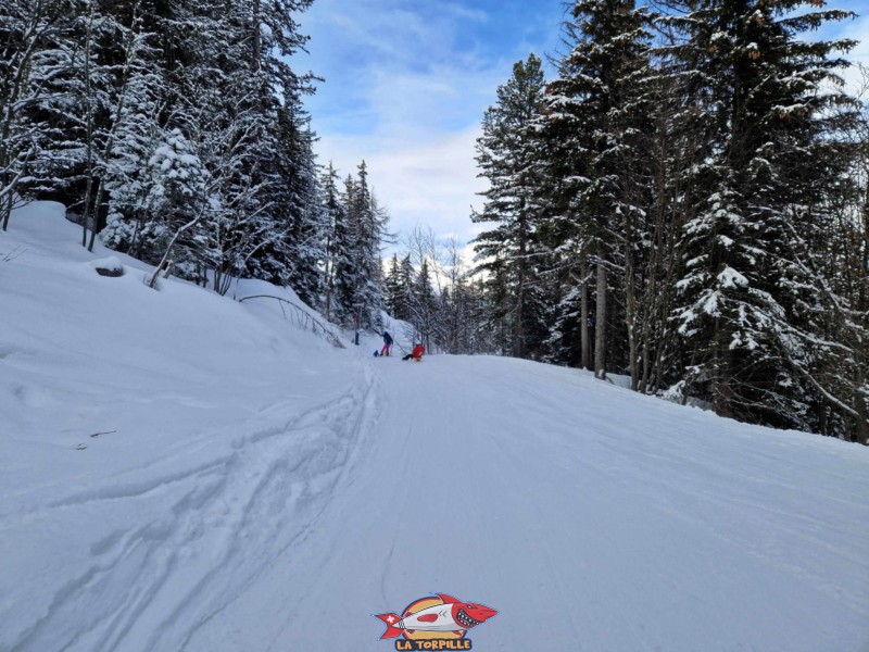 Le deuxième replat est un chemin en légère descente partagée avec les skieurs sur la route de la Croix de Cœur. Replat 2. Piste de luge de la Tzoumaz.