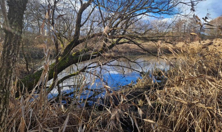 🚤 Etang de la Coula – Payerne