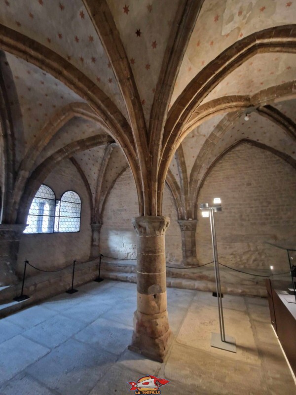 Un pilier soutenant la voute de type gothique. salle capitulaire. Abbatiale de Payerne, canton de Vaud.