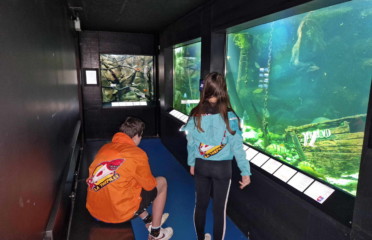 🏠🐟 Musée du Léman et Aquarium – Nyon