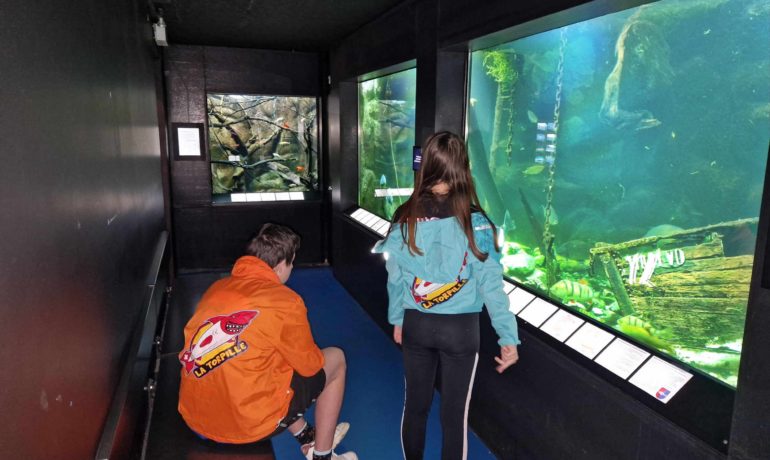 🏠🐟 Musée du Léman et Aquarium – Nyon