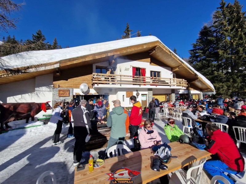 La très grande terrasse du restaurant des Rousses. Piste de luge des Rousses, domaine skiable d'Anzère, Ayent.