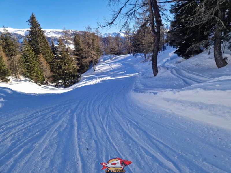 La piste entre les deux replats. Piste de luge d'hiver des Rousses, domaine skiable d'Anzère, Ayent.