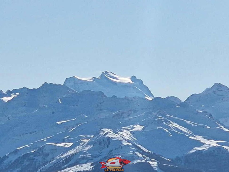 Vue depuis le télésiège. Le zoom sur le Grand Combin. Piste de luge des Rousses, domaine skiable d'Anzère, Ayent.