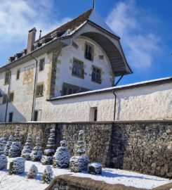 🏰 Château de Corbières