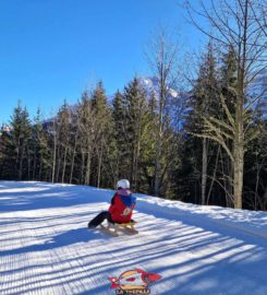 🛷 Piste de Luge d’Hiver des Diablerets