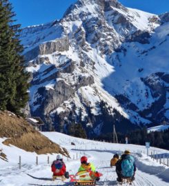 🛷 Piste de Luge d’Hiver des Diablerets