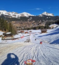 🛷 Piste de Luge d’Hiver des Diablerets