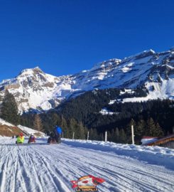 🛷 Piste de Luge d’Hiver des Diablerets