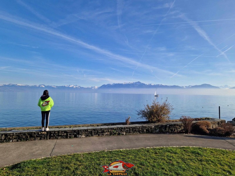 La vue sur les Alpes depuis le bord du lac, à côté du port de Morges.