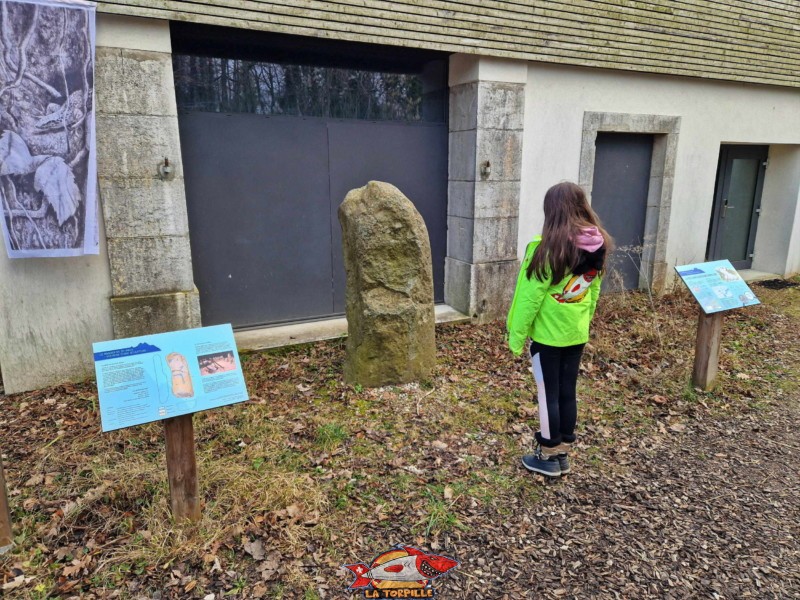 Le menhir de St-Prex avec des panneaux fournissant des explications au visiteur. Maison de la Rivière, Tolochenaz, Vaud.