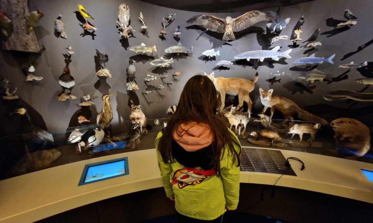 🖼️🚪🐟🧒 Maison de la Rivière – Tolochenaz