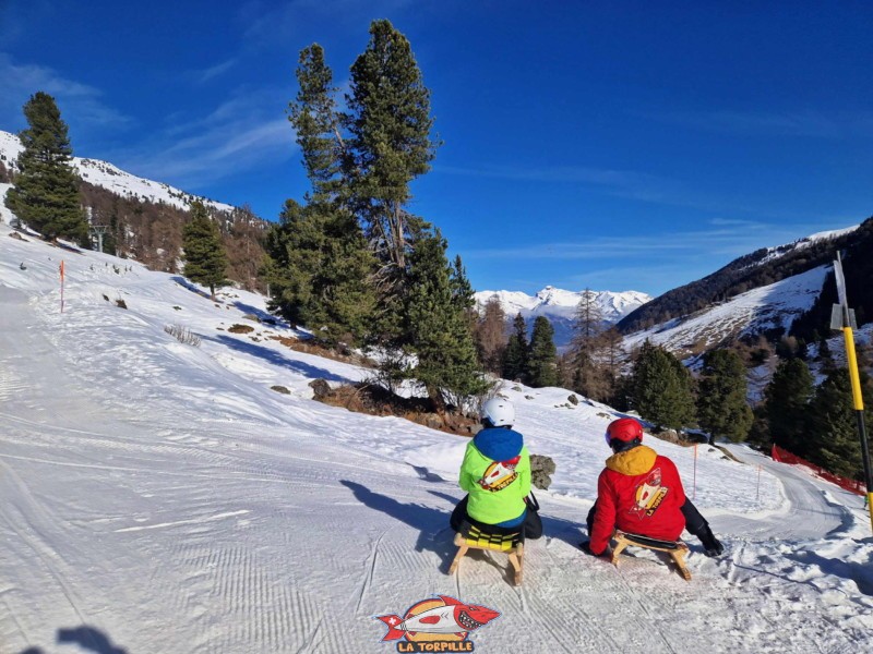 Zone inférieure, Piste de luge d'hiver de Tortin - Siviez, val de Nendaz.