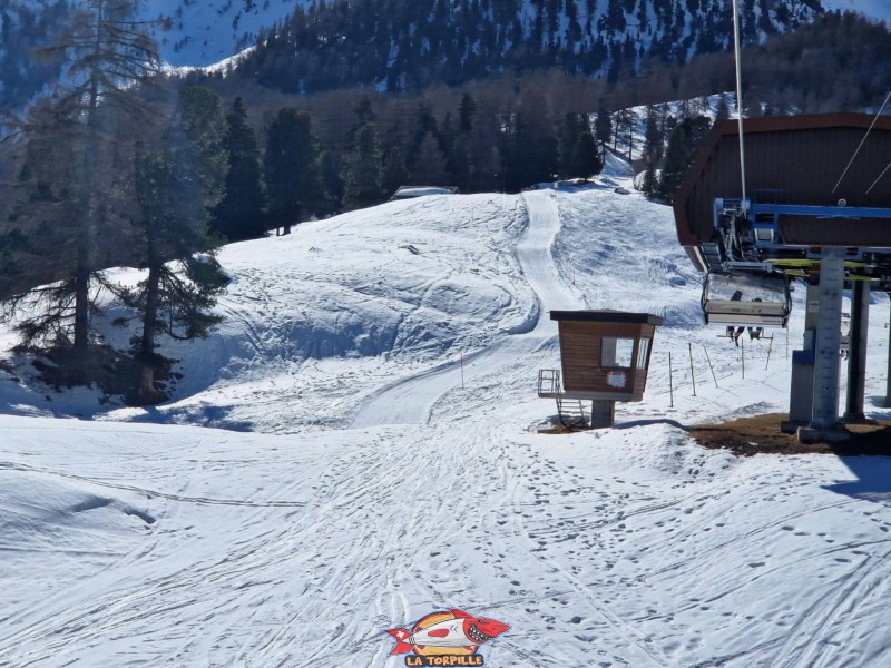 Zone supérieure, Piste de luge d'hiver de Tortin - Siviez, val de Nendaz.