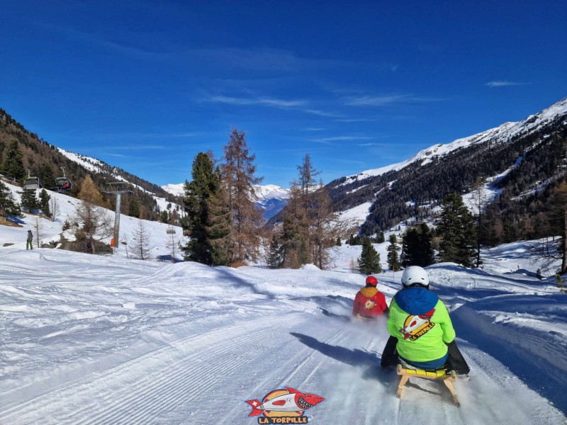 Zone supérieure, Piste de luge d'hiver de Tortin - Siviez, val de Nendaz.