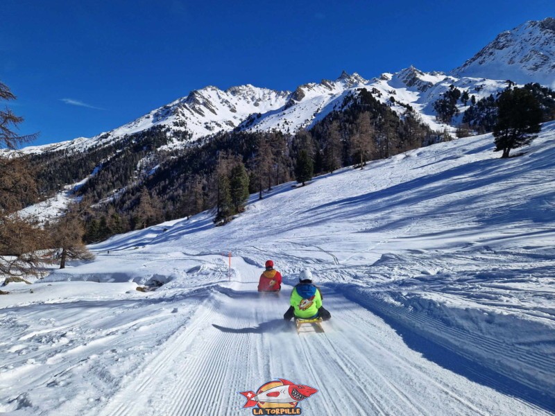 Zone supérieure, Piste de luge d'hiver de Tortin - Siviez, val de Nendaz.