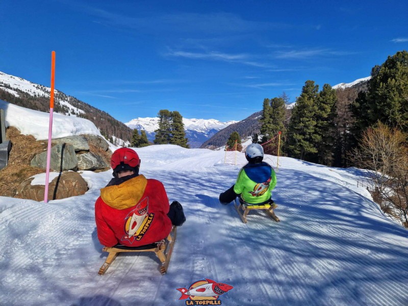 Zone supérieure, Piste de luge d'hiver de Tortin - Siviez, val de Nendaz.